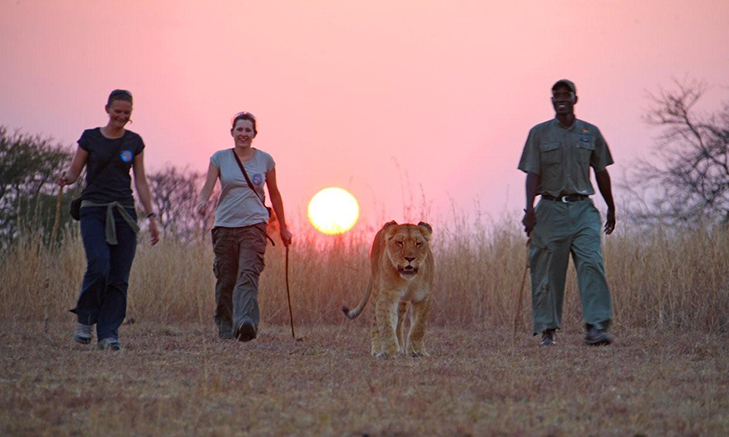 144U6798 Volunteer Forever: Volunteer Abroad in Africa