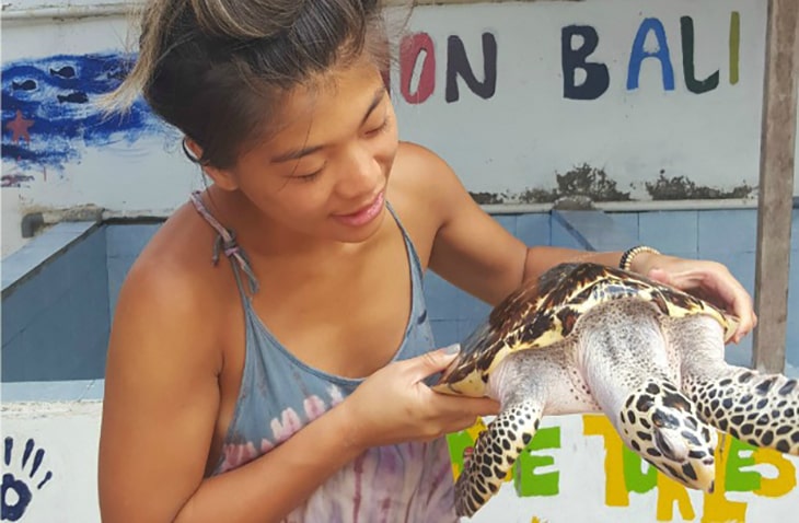 Volunteer for Sea Turtles GoEco volunteer for sea turtles with GoEco