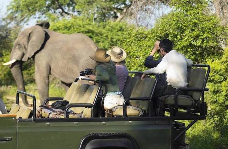 pmgy-south-africa_730x478-min environmental conservation in South Africa