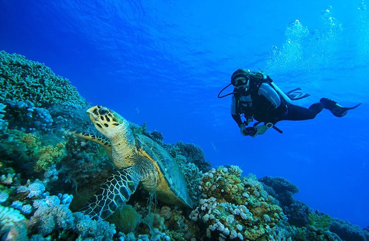 Peace-Corps-Alternatives-GVI marine conservation volunteering