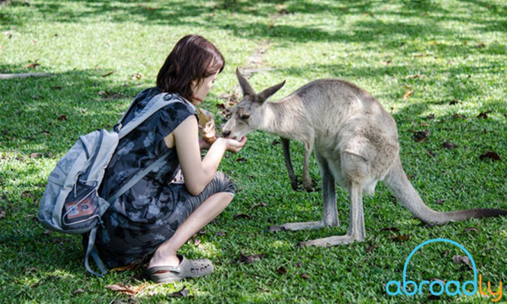 The United States alone may send 20 million volunteer travelers on projects worldwide by the year 2020. The UK, the EU, Australia, and Canada also are seeing millions of its citizens travel for volunteer opportunities. Nearly all of these individual travelers are alone when they begin their journeys.