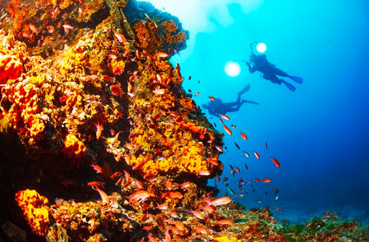 Short-Term-Volunteer-Abroad-Programs-GVI diving and volunteering