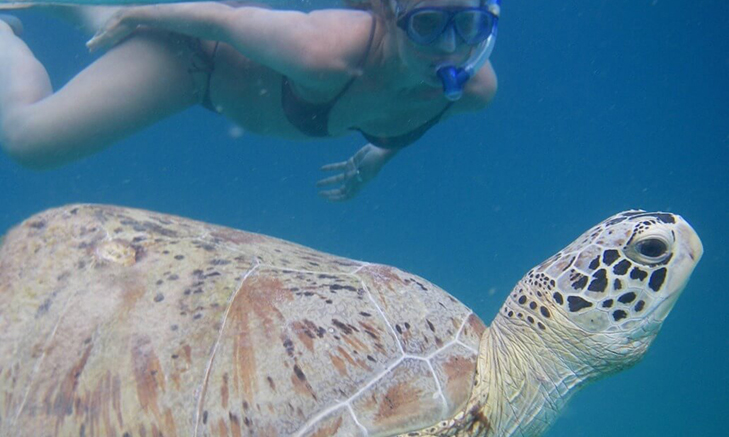 Volunteer Forever - Volunteer in Borneo & Malaysia