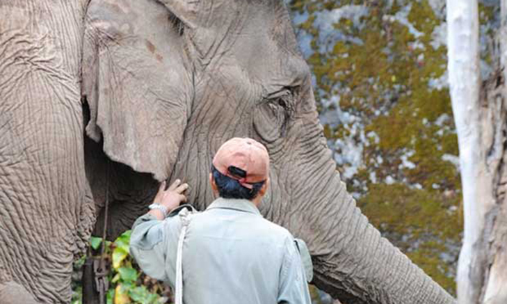 Volunteer Forever - Volunteer with Buddhist Monks