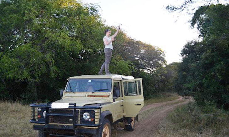 Big Cat Conservation