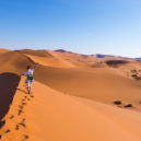 Volunteer Forever - Volunteer in Namibia Wildlife Sanctuaries