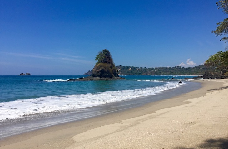 Wildlife, Marine Animal, Veterinary, & Conservation Volunteer Abroad